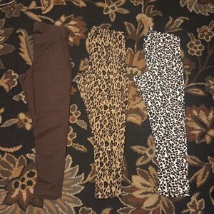 *LAST DAY* Torrid Size 0 (Large) Leggings Set